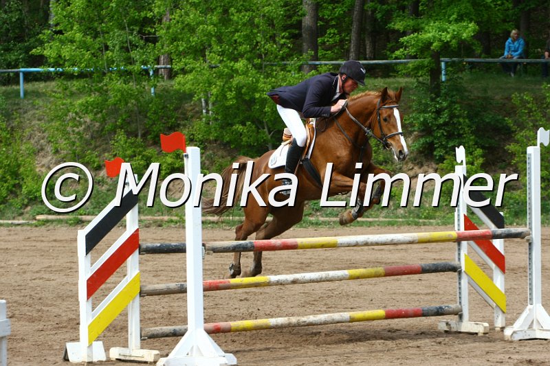 104M3631_Cookie_Springpf L.JPG